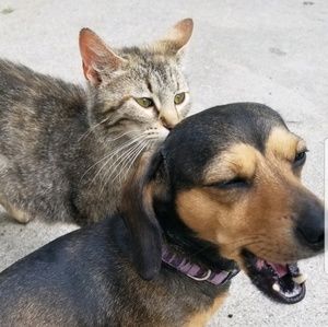 Meet your Posher, Kasey